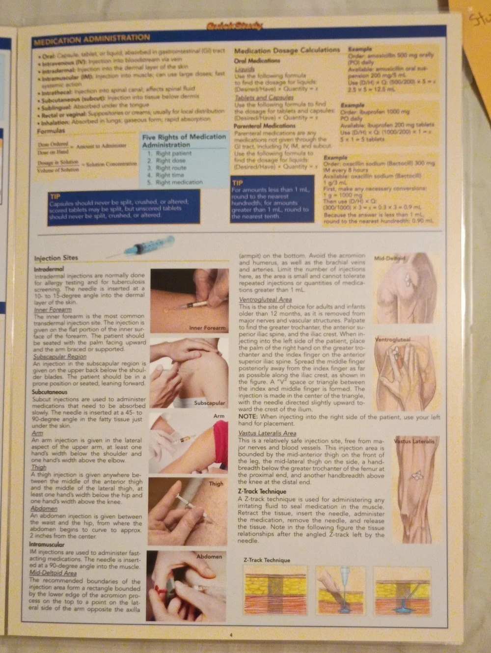 Quick Study Academic Nursing Reference Guide - Picture 6 of 7